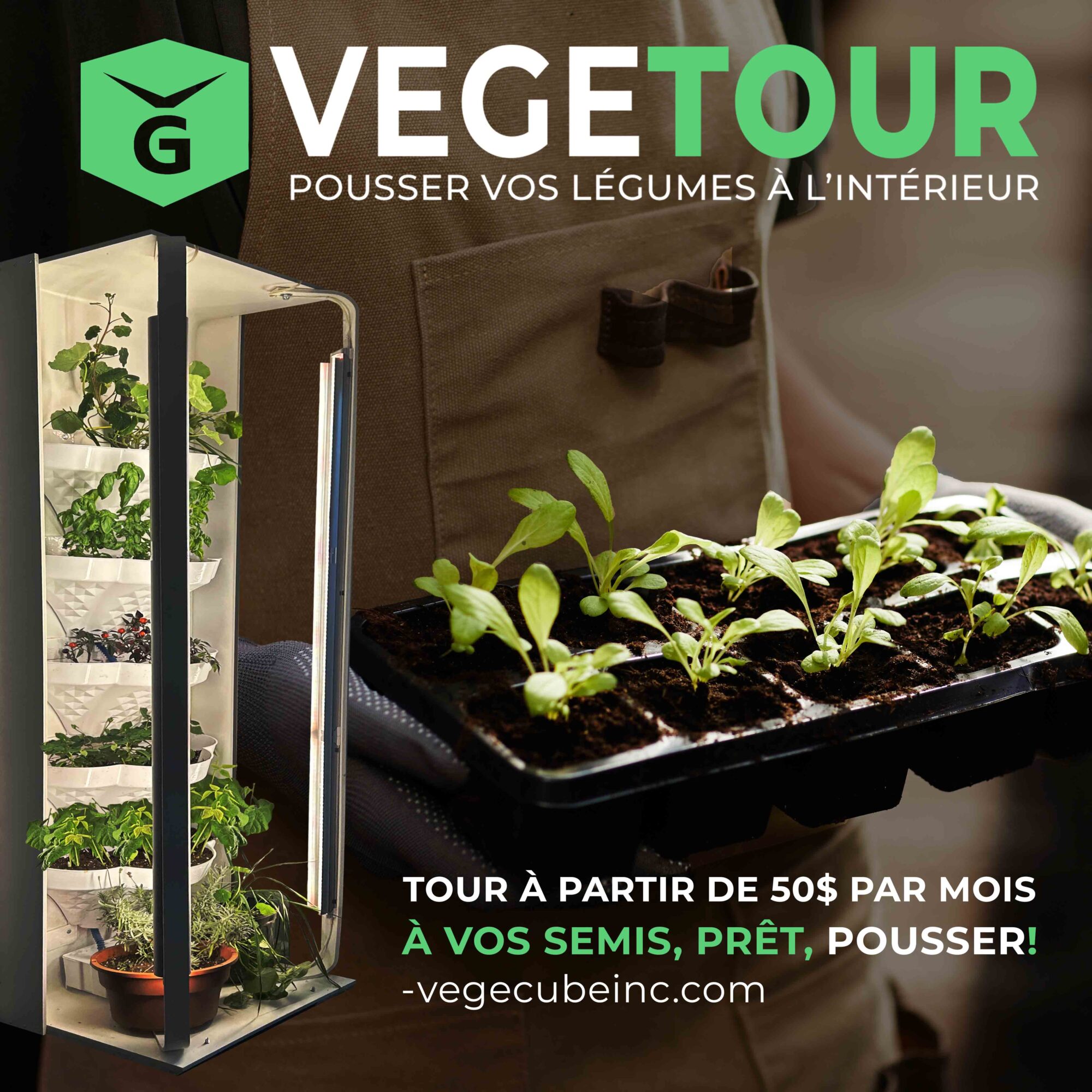 vegetour - Image 2